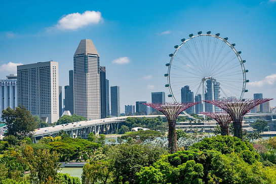 amazing-shot-gardens-by-bay-singapore.jpg
