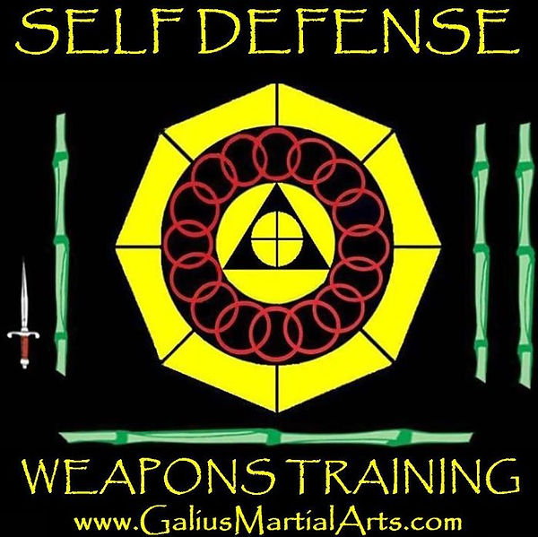 SELF DEFENSE LOGO COLOR.jpg