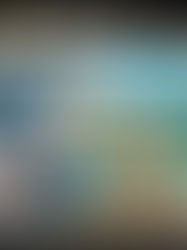 LES 4 FANTASTIQUES: PREMIERS PAS + NOBODY 2