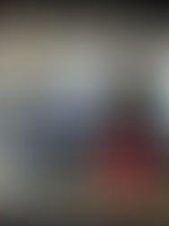 LE RĂVE AMĂRICAIN / L'INFILTRĂE