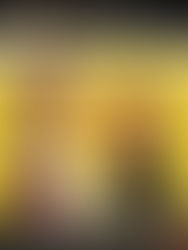 LA PIRE MĂRE AU MONDE