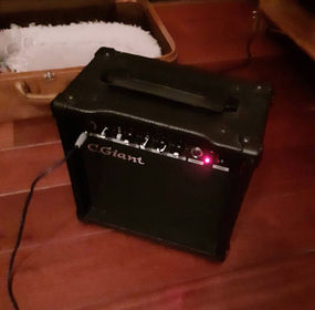 Guitar Amplifier / Speaker  