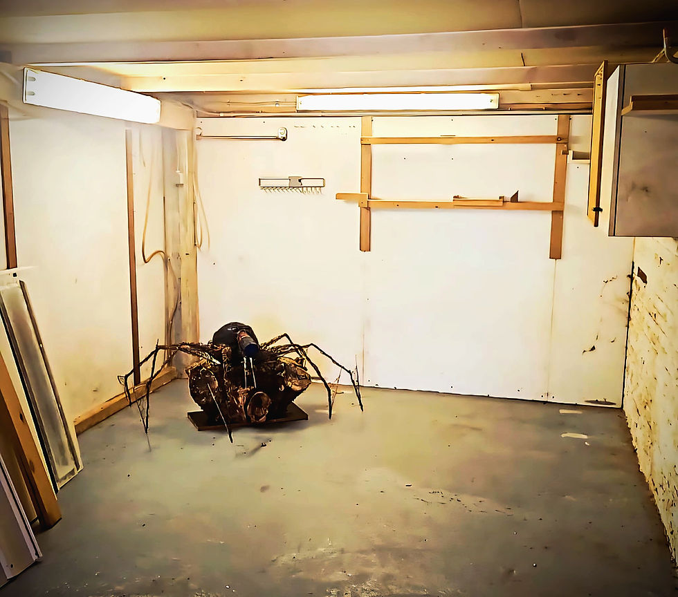 Trash Robot - The Lockdown Spider