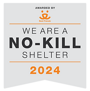 No Kill 2024