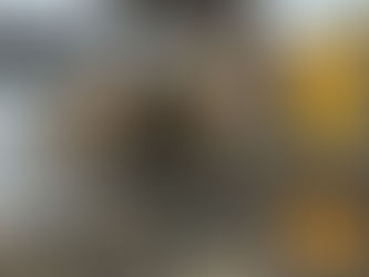 Instalación de bomba sumergible en orilla del mar: RPM opera donde el océano es el entorno de trabajo