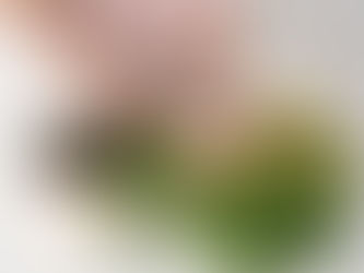 Ridiculously Easy Taco Soup or Chili- Instant Pot