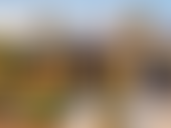 An exterior photograph of a modernized mid-century ranch home in Upland, California, featuring large, energy-efficient black-frame windows and a custom wood entry door under golden Southern California sunlight.