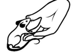techmonth_Logo.png