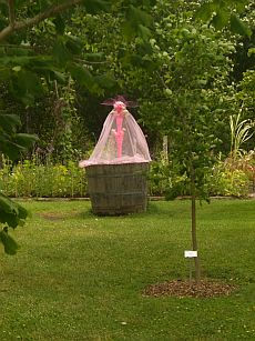 Ohana vacker blomma.jpg