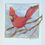 Thumbnail: Cardinal on Branch