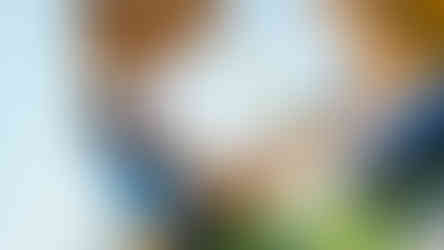 Isolé beach, summer 2023