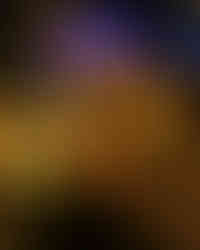 classic film 9-05249