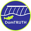 LOGO MASTER damTRUTH 2021 07 28.png
