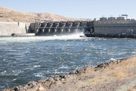Cracks in the lower Snake River dams
