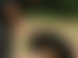 The Use of Punishment for Dog Reactivity and Aggression