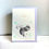 Thumbnail: Squirrel Stars mint