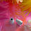 Miniaturbild: Dipper Tube * White