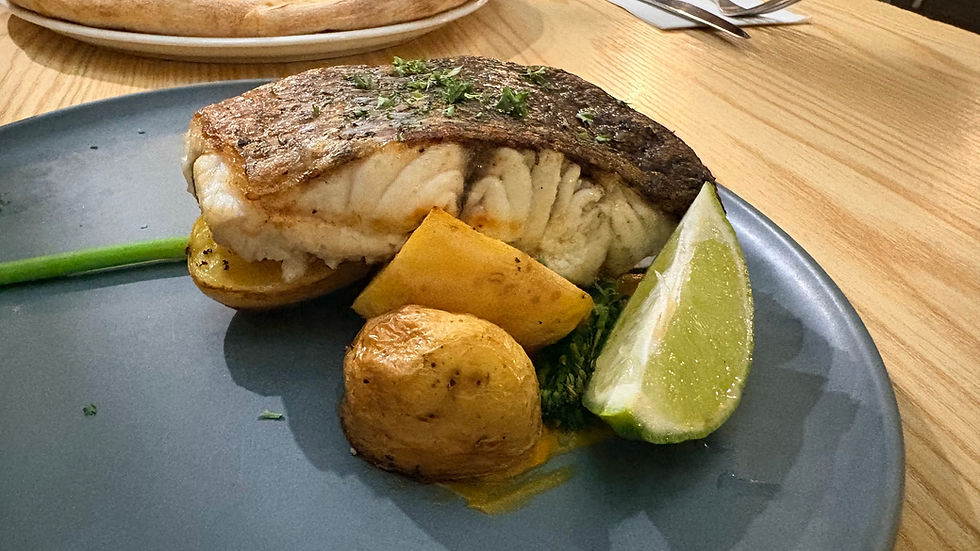 Barramundi
