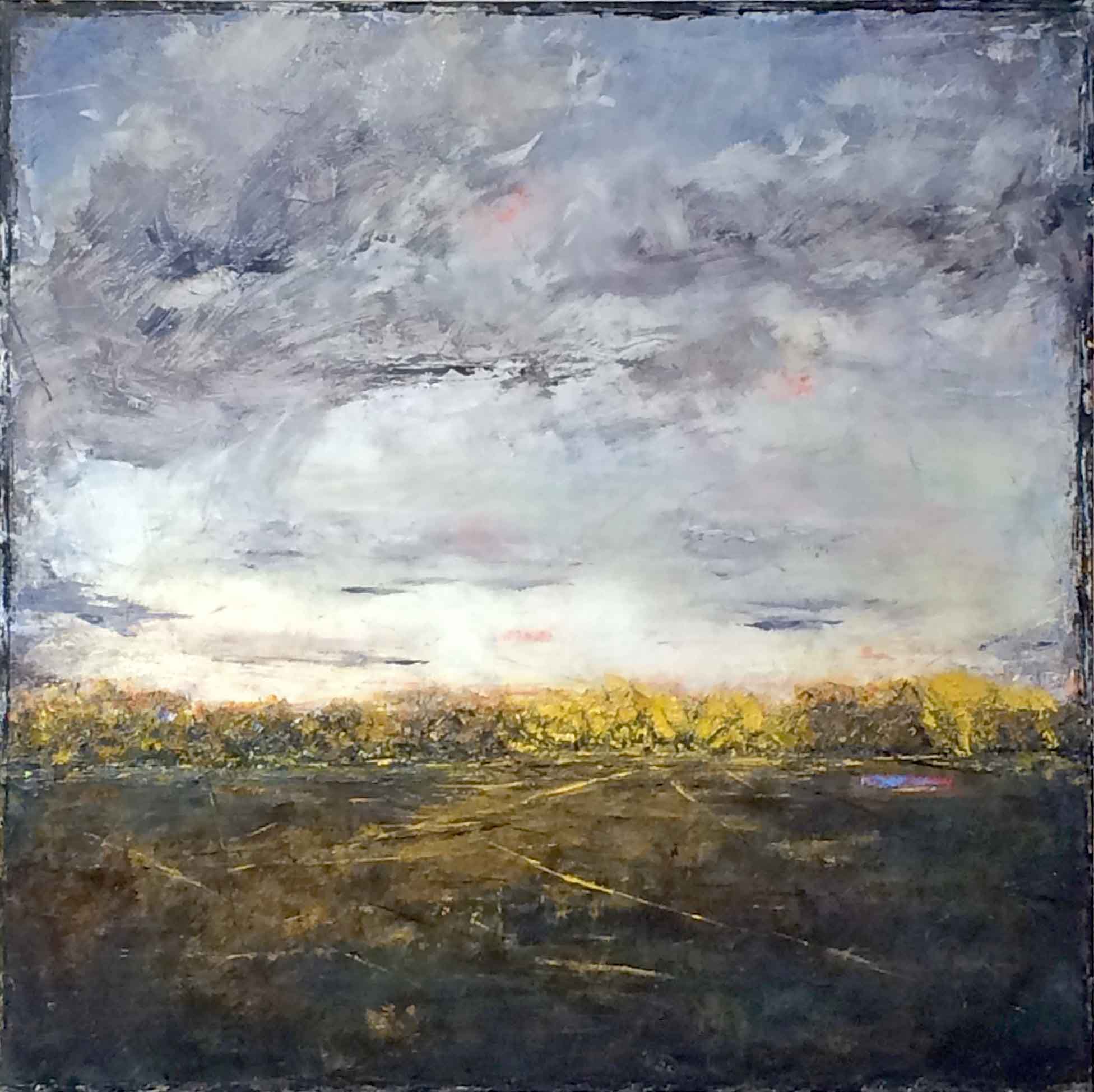 Bosque Skies 36x36 (Spain)