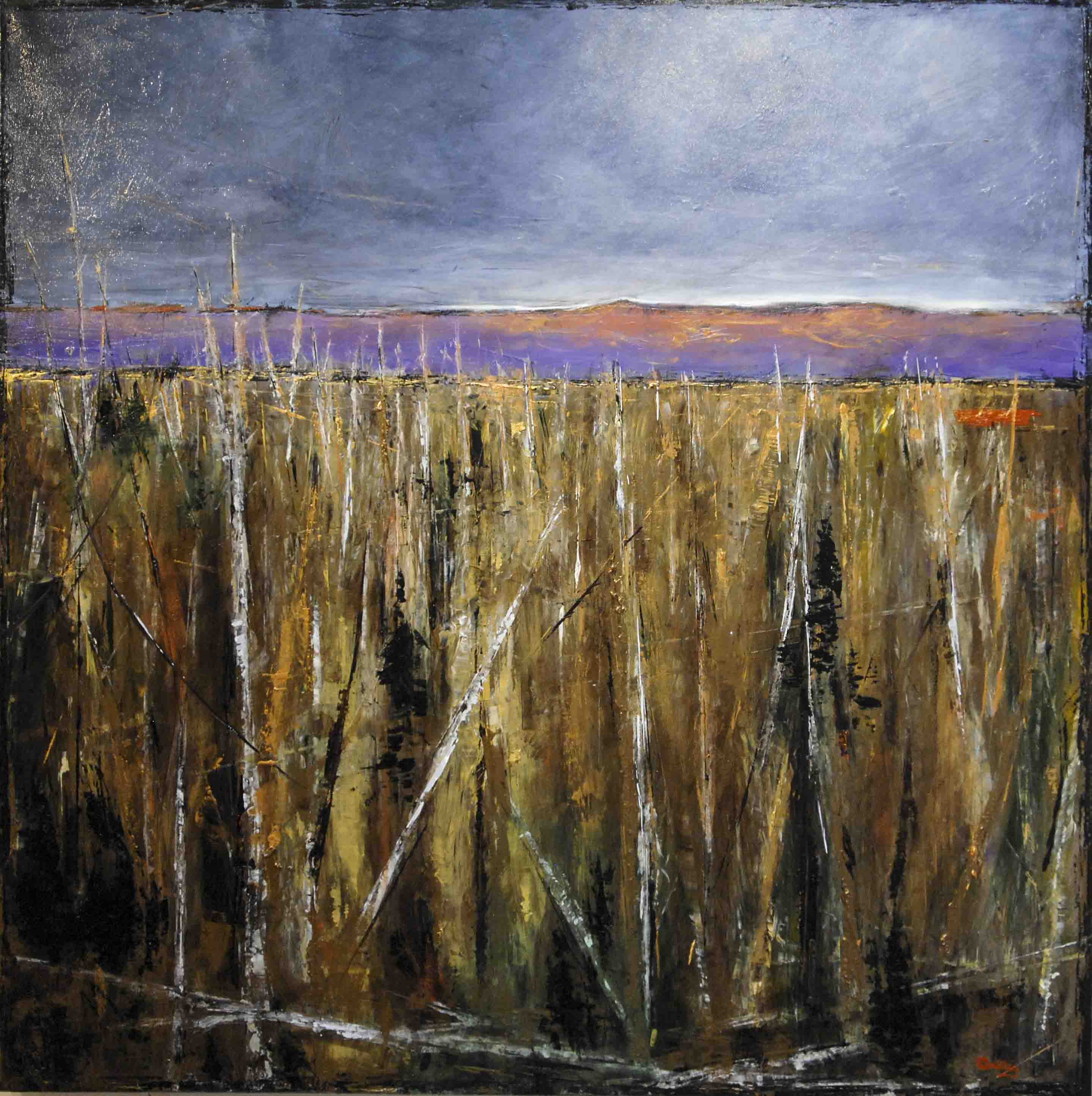 Vista 48x48