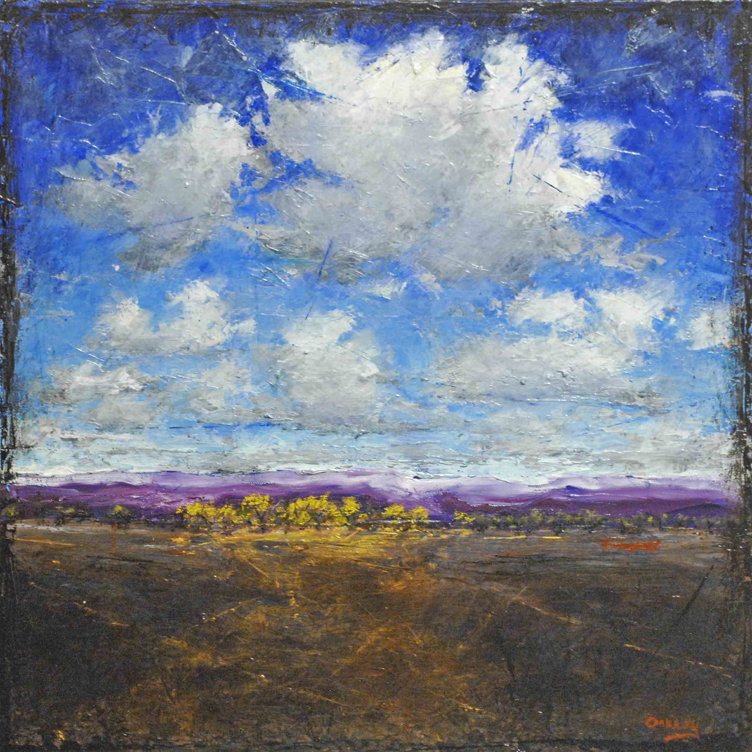Bosque Way 24x24 (Sold to CA)