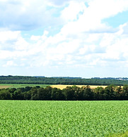 DSC_0811_edited.jpg
