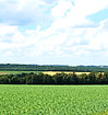 DSC_0811_edited.jpg