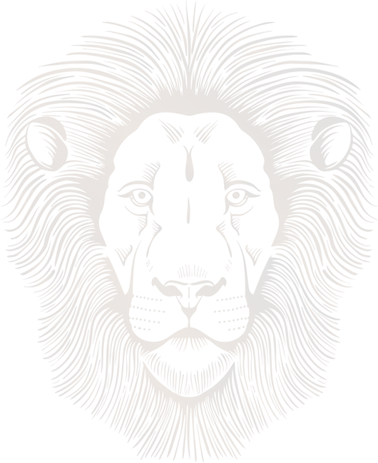 high%20res%203-08_edited.png