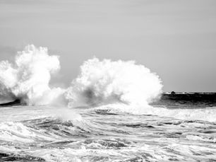 Et puis les algues...