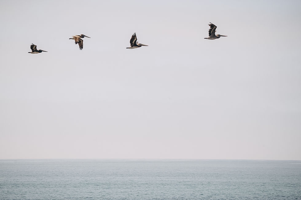 seaside-48.jpg