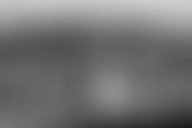 Why Every Wedding Needs a Videographer                          