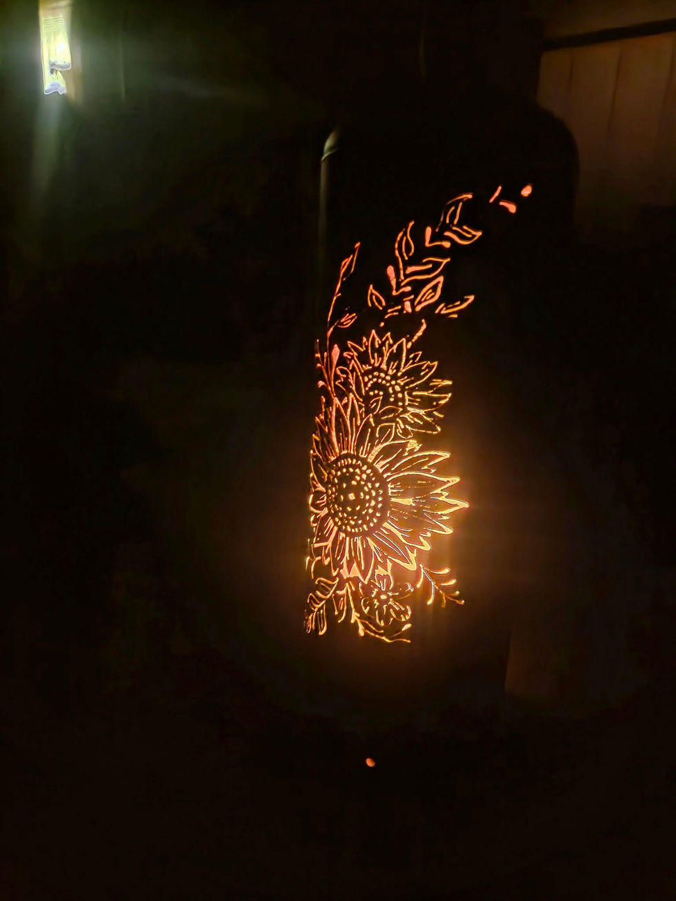 511724262_1233554768563733_2716062928381979984_n