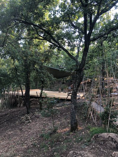 dojo06
