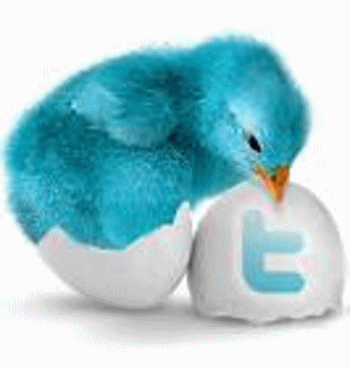 Twitter
