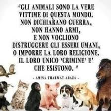 NO ALLA VIOLENZA SUGLI ANIMALI.