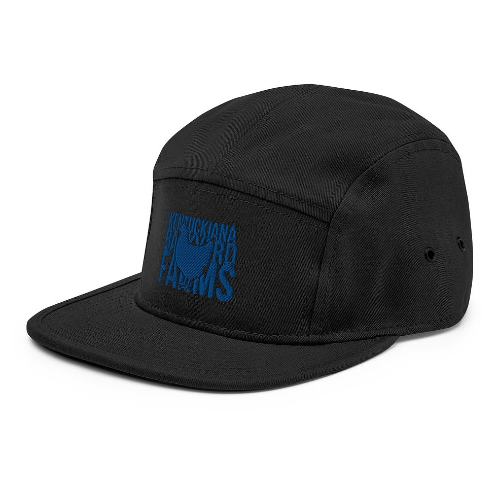 Thumbnail: Blue Thread 5 Panel Camper