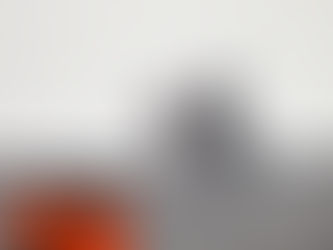 감정과 인류의 양방성 영향력과 통제