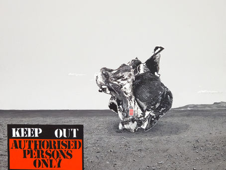 감정과 인류의 양방성 영향력과 통제