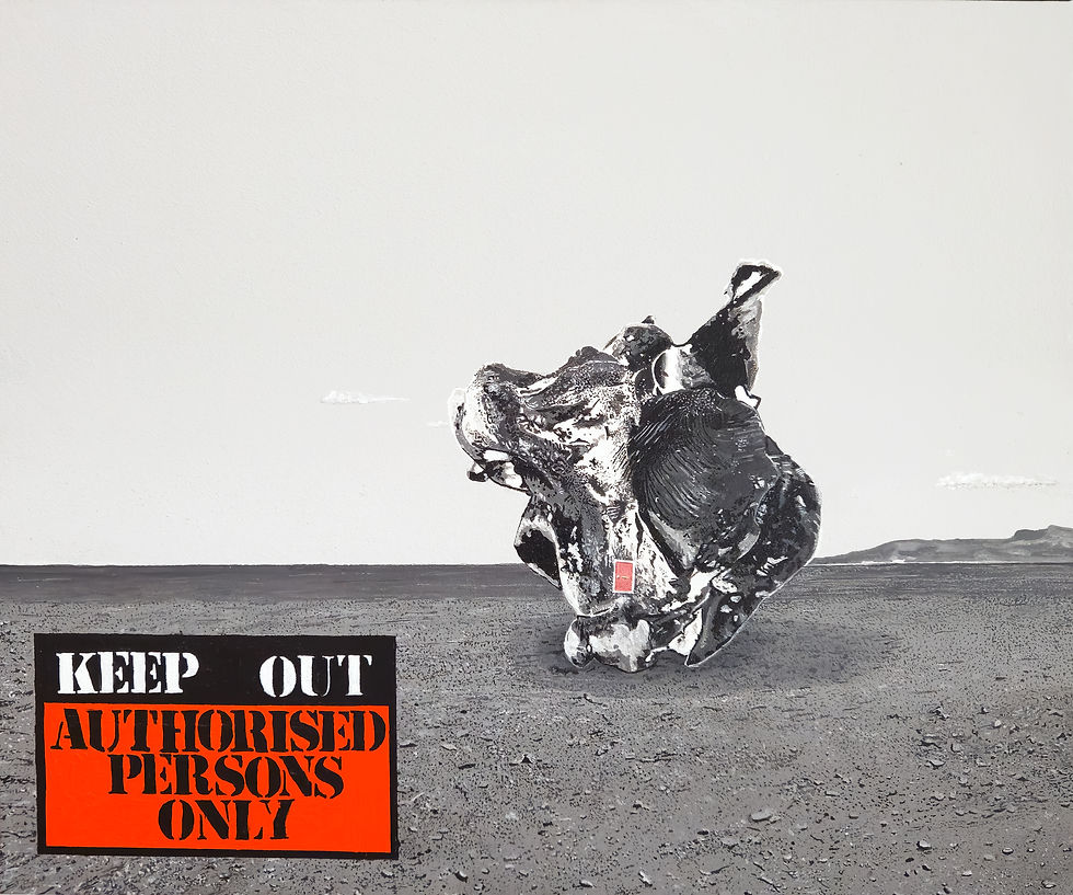 감정과 인류의 양방성 영향력과 통제