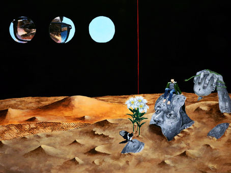 사막에 오신 것을 환영합니다.