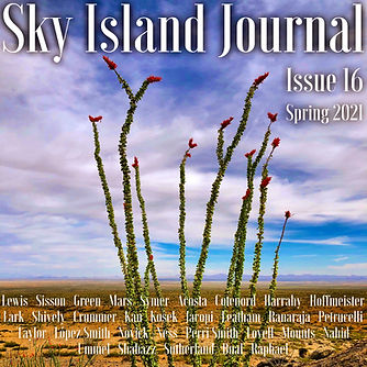 Sky Island Journal_Issue 16 COVER.jpeg