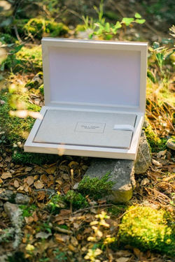 12144714_426123330915803_1791028184549157761_n