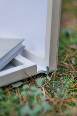 12105732_426123357582467_491519498416115067_n