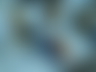 川田童夢バリスタ率いるBEVERAGE GUILD MATERIALさんによる『Team American Press』の第一回交流会が開催されました。