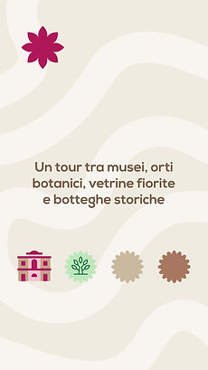 Grafica 4.jpg