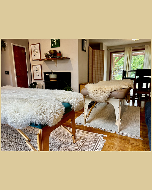 Untitled design (6).png