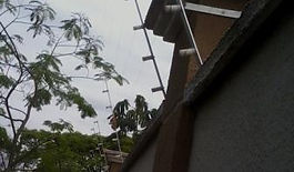 Cerca Elétrica,Manutenção de Cerca Elétrica,Cerca Elétrica Zona Leste,Cerca Elétrica preço,Melhor cerca Elétrica,Cerca Elétrica Vila Formosa,Cerca Elétrica Itaquera,Cerca Elétrica Vila Prudente,Cerca Elétrica Vila Alpina,Cerca Elétrica zona Leste,Cerca Elétrica Planalto Paulista,Cerca ElétricaTatuape,Cerca Elétrica Vila Diva,Cerca Elétrica Vila Mascote,Cerca Elétrica Interlagos,Cerca Elétrica Zona Sul,Cerca Elétrica Cangaiba e Penha,Cerca Elétrica Santana e Freguesia do ó, Casa Verde,Cerca Elétrica Vila Mariana e Saude,Cerca Elétrica no ABC,Cerca Elétrica Zona Norte,Pinheiros,Cerca Eletrica Morumbi,Cerca Elétrica Jabaquara,Cerca Elétrica São Lucas,Cerca Elétrica Mooca,Cerca Elétrica Vila Ré,Cerca Elétrica Itaim Paulista,Cerca Elétrica Aeroporto,Arthur Alvim,Cerca Elétrica Vila Matilde,Patriarca,Cerca Elétrica Moema,Cerca Elétrica Vila Santa Catarina,Cerca Elétrica Vila Guilherme,Cerca Elétrica Ipiranga,Cerca Elétrica Vila Mariana, Cerca Elétrica Lapa,Cerca Elétrica Leopoldina