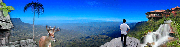 Parque Natural Chicaque, Cundinamarca Colombia