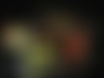 Receta del día ¿Cómo preparar un Bowl Stoner?