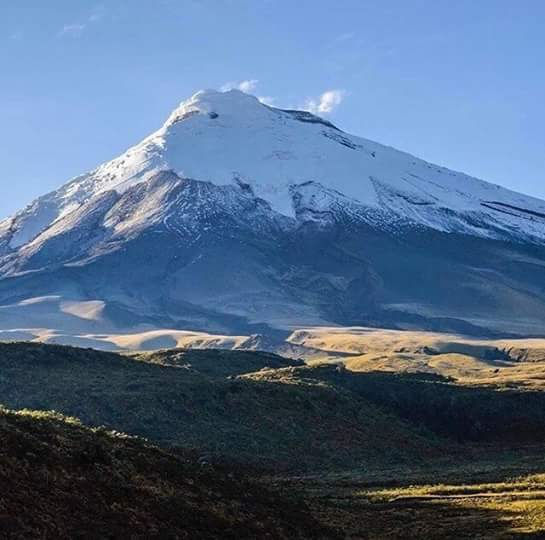 FB_IMG_1498408649964[1]